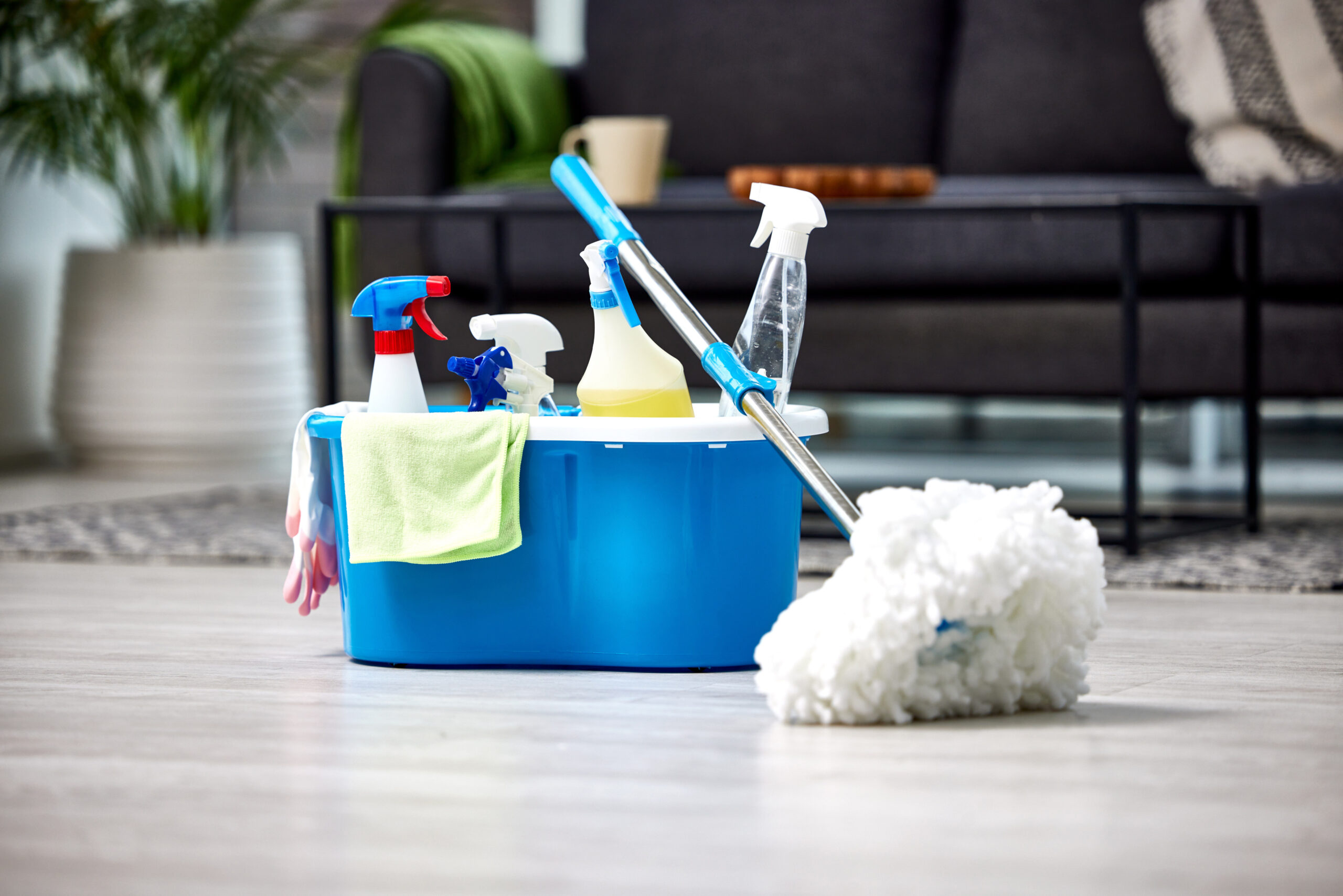 Cleaning, detergent and mop on the floor of a living room in a home for hygiene or service during housework. Product, bacteria and safety with supplies in a bucket ready to clean a house for service.